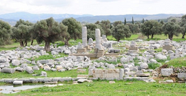 ‘Teos Antik Kenti ayağa kalkacak’