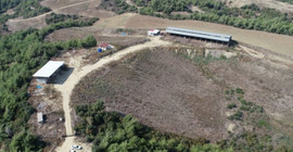 Adana'da çiftlik cinayeti