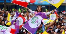 HDP'den McKinsey tepkisi