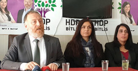 Temelli: Leyla Güven'siz Meclis eksiktir
