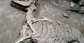 Antik Roma kenti Pompeii ile ilgili yeni keşif
