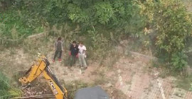 Marmara Üniversitesi kampüs arazisinde ağaç katliamı