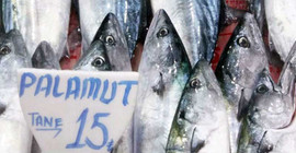 Palamut'un tanesi 2.5 liradan 15 liraya çıktı