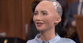 Sophia 'robot vizesi' aldı