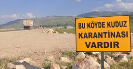 Balıkesir'deki kuduz salgını Meclis gündeminde