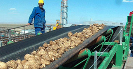 Önce fabrikalar satıldı, şimdi sıra arazilerde