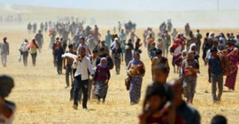 Şengal'de bir havuzda toplu mezar bulundu