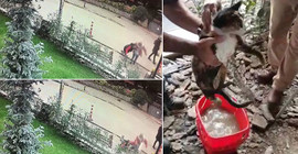 Kadıköy'de 2 kadın, 1 kedi betona battı