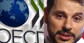 Albayrak büyüme demişti, OECD daralma öngörüyor