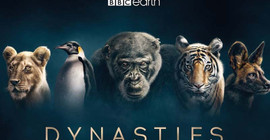 BBC Earth'ten etkileyici belgesel: Soylar