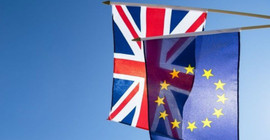 'Birleşik Krallık Brexit'i tek başına durdurabilir'