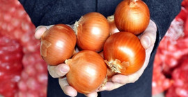 'Soğanın fiyatı iki ay içinde 10 TL'ye çıkabilir'