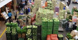 'Hal Yasası fiyatı düşürmez, planlama şart'