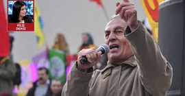Demir Çelik: Türkiye’nin tek demokratik alternatifi HDP'dir