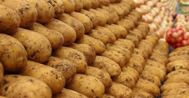 Patates ithalatında gümrük vergisi sıfırlandı