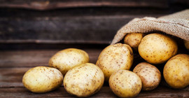 Patates üreticisinden hükümete 'ithalat' tepkisi
