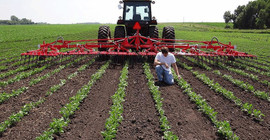 Tarımda 167 milyar lira buhar oldu