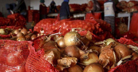 Tanzimler kaldırıldı soğanın kilosu 10 liraya ulaştı