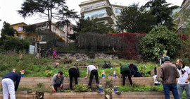 Roma Bostanı'na tohumlar serpilecek
