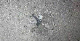 Drone'u taşlayan defineci yakalandı