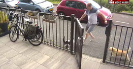 Kedi köpek dalaşına insan da karıştı