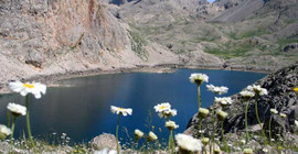Dersim'e yıldırım düştü: 1 ölü