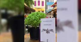 Kuşlarınsüvarisi: Bir çağdaş zaman anlatısı
