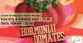 Hormonlu Domates’ler sahiplerini buldu
