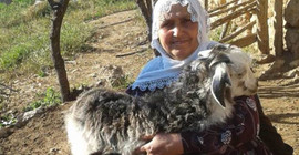 Yer almadığı fotoğraf karesinden tutuklandı