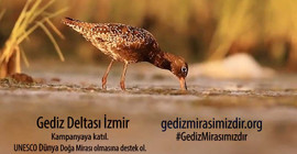 Tarkan'dan Gediz Deltası'na destek