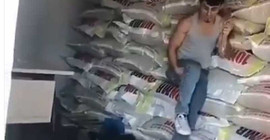 Kedinin dinmeyen öfkesi viral oldu