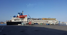 Sahte belgeyle hayvan ithal eden şirkete hibe