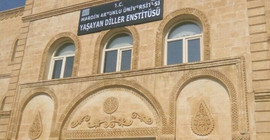 Rektörden Yaşayan Diller Enstitüsü için açıklama
