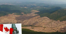 Kanada’dan Kaz Dağları mektubuna yanıt geldi