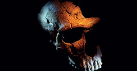 İran'da ilk kez doğrudan Neandertal varlığı kanıtlandı