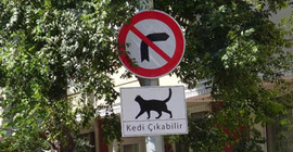 Sokaklara ‘Kedi Çıkabilir’ tabelaları astılar