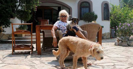 Hayvanlara miras bırakmak istediği villasını 85 köpeğe açtı
