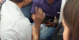 'Kediyi alırsanız kendimi öldürürüm'