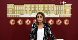 HDP'li Acar: Yargıtay’ın KCK kararı, siyasi soykırımın devamı niteliğinde