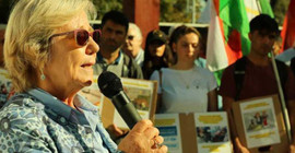 İsviçre milletvekilleri: Kürtlere etnik temizlik yapılıyor