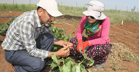 Kayyum kapattı, onlar vazgeçmedi