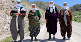 Yasak nedeniyle 2 aydır koyunlarını sağamıyorlar
