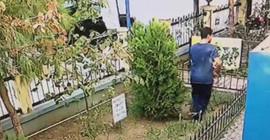 Yavru kediyi tekmeleyerek öldürdü