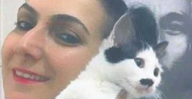 İntihar ettiği düşünülen kişinin cesedi evinde beslediği köpek ve kediler tarafından parçalandı