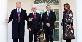 Trump, Bağdadi operasyonunda görev alan köpeğe plaket verdi