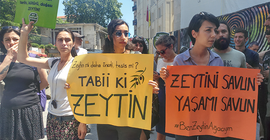 Yaşam savunucularından Başbakan Yıldırım'a yanıt: Tabi ki zeytin