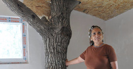 Ben bir ceviz ağacıyım Dersim dağlarında