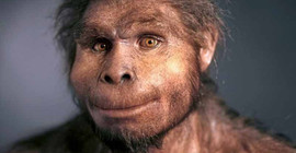 Homo Erectus sanıldığından daha uzun yaşamış