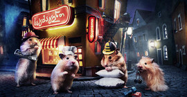 Hamster dünyasına hoş geldiniz