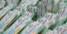 Talih kuşunun yılbaşı ikramiyesini dolar vurdu